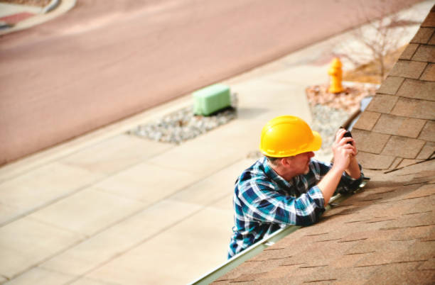 Best Roof Gutter Cleaning  in Rogersville, TN